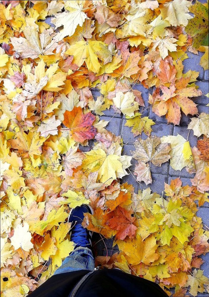 Photograph by Кира Орлова