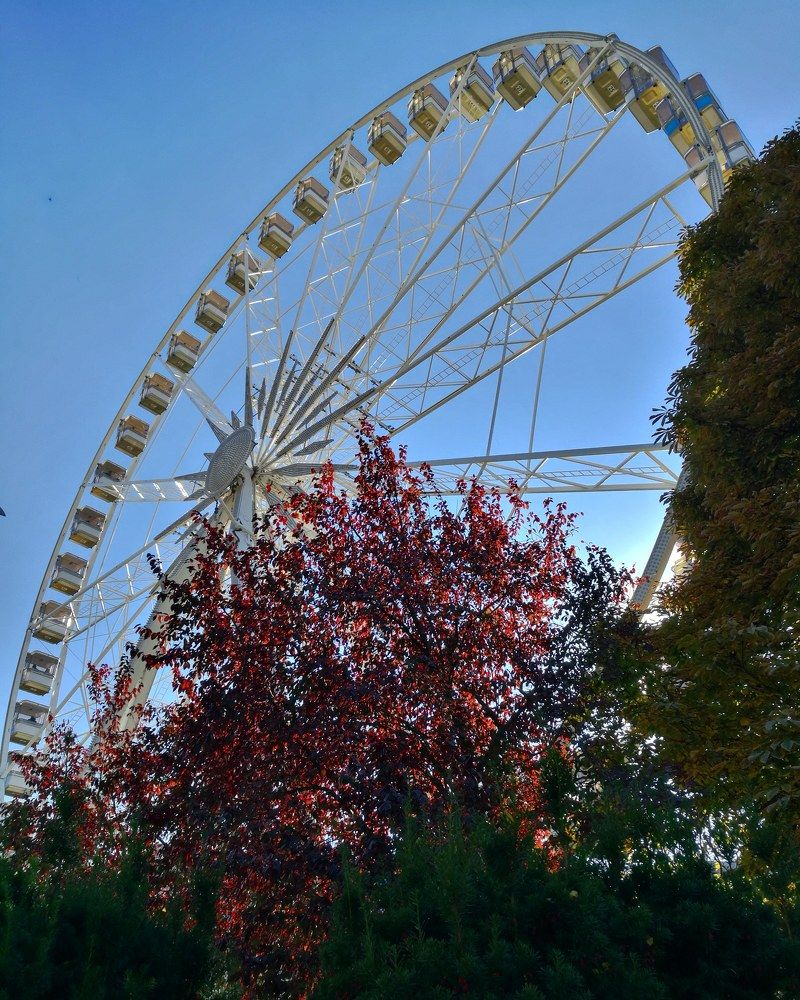 Photograph by Максим Захаров