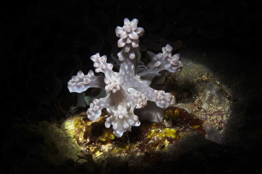 Photograph by Deniz muzaffer Gokmen