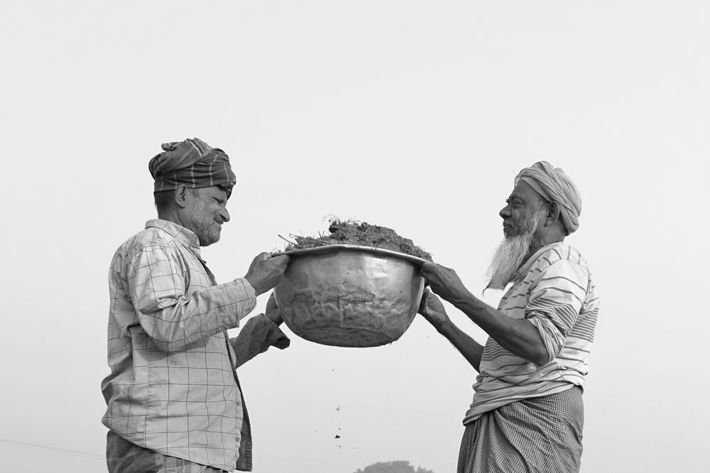 Фотография автора Mahmudul Hasan