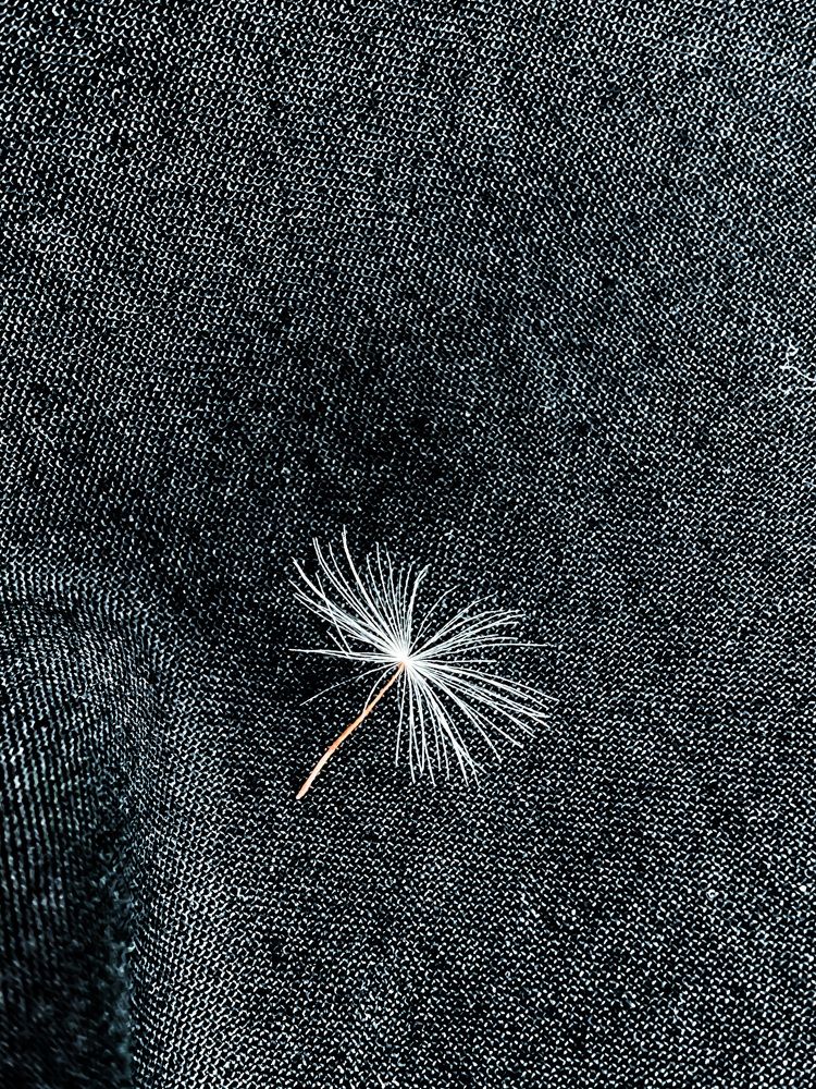 Photograph by Людмила Коныгина