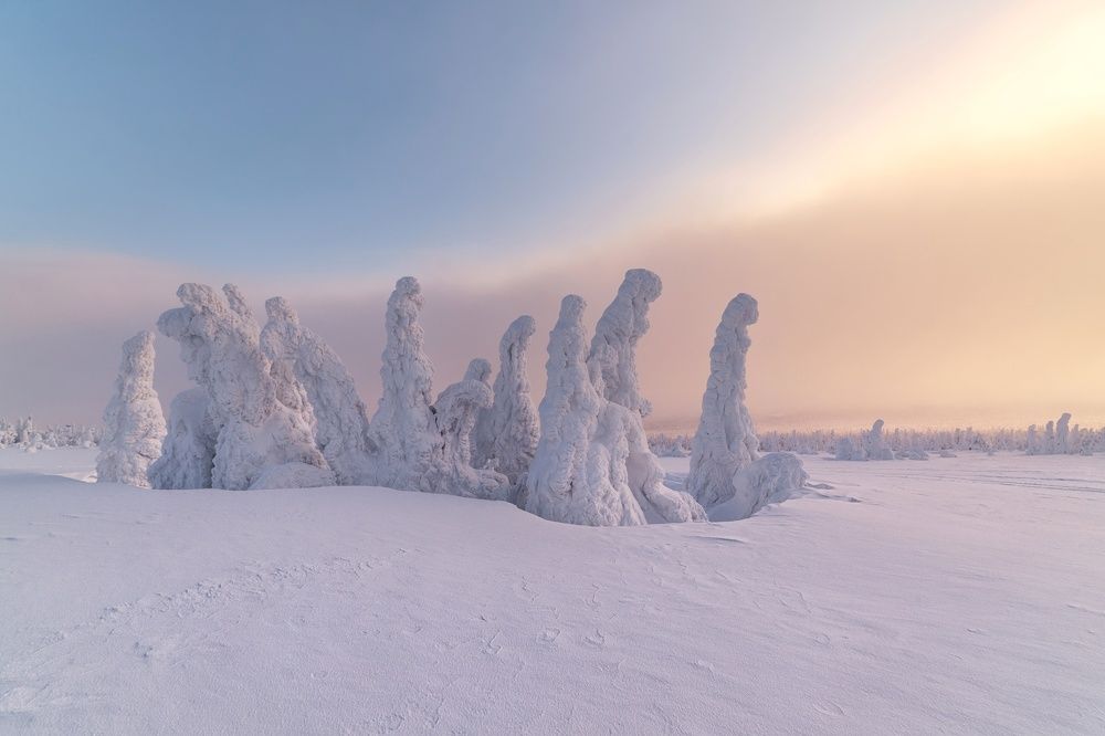 Photograph by Евгений Антонов
