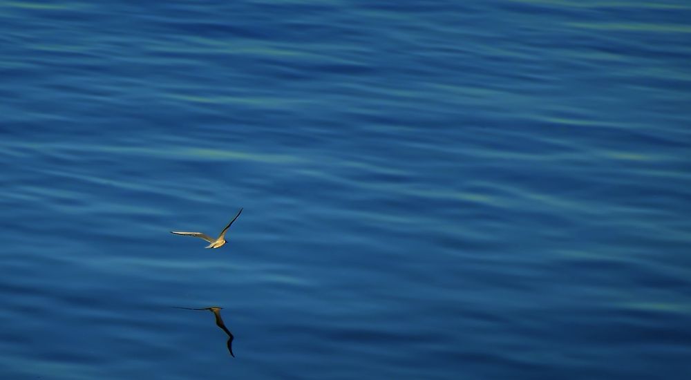 Photograph by Алексей Парамонов