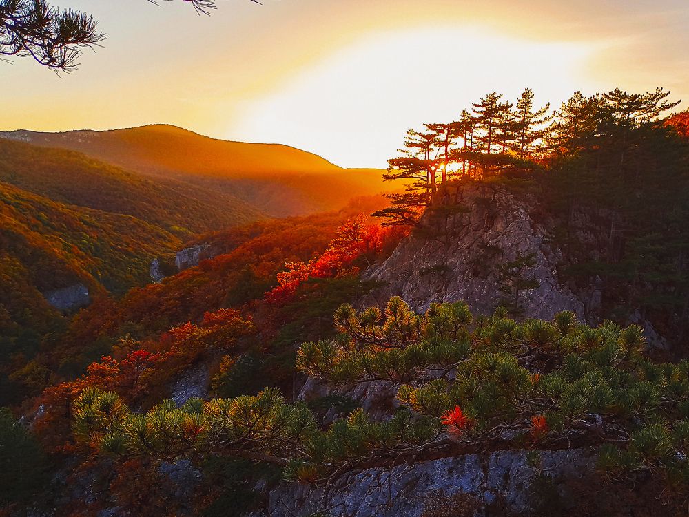 Photograph by Анна Корытина