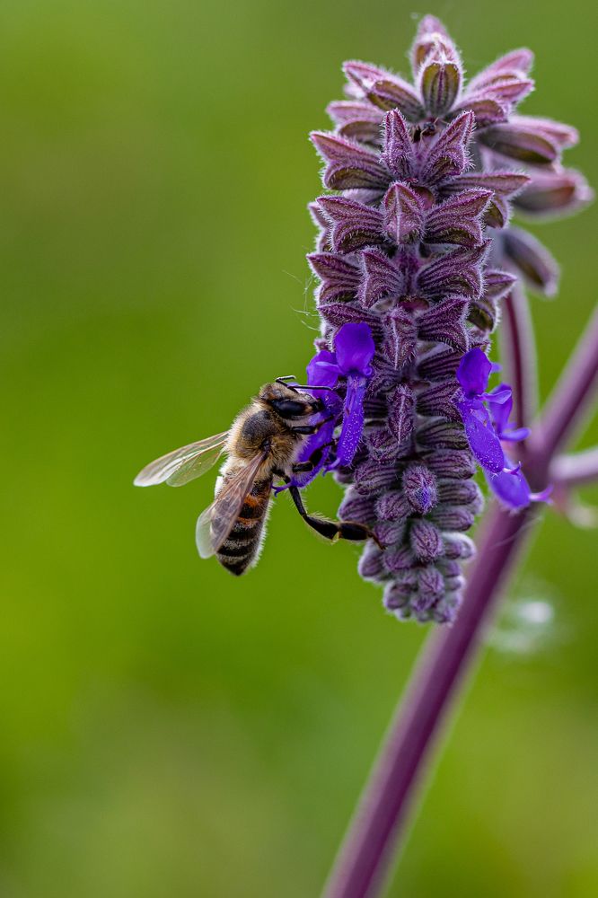 Photograph by Дмитрий Казачек