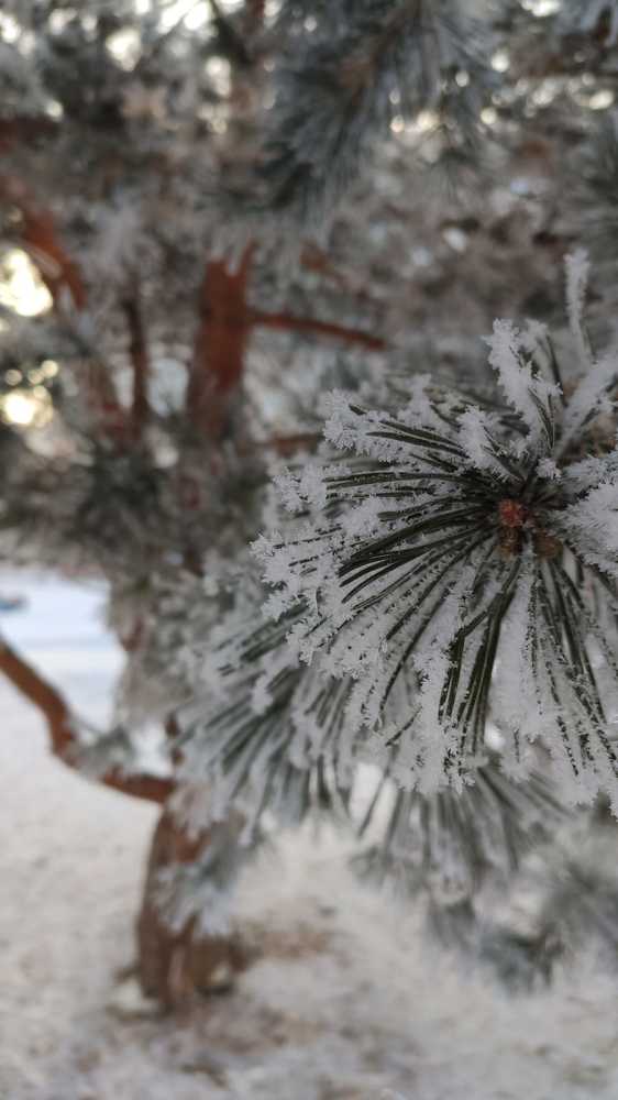 Photograph by Светлана