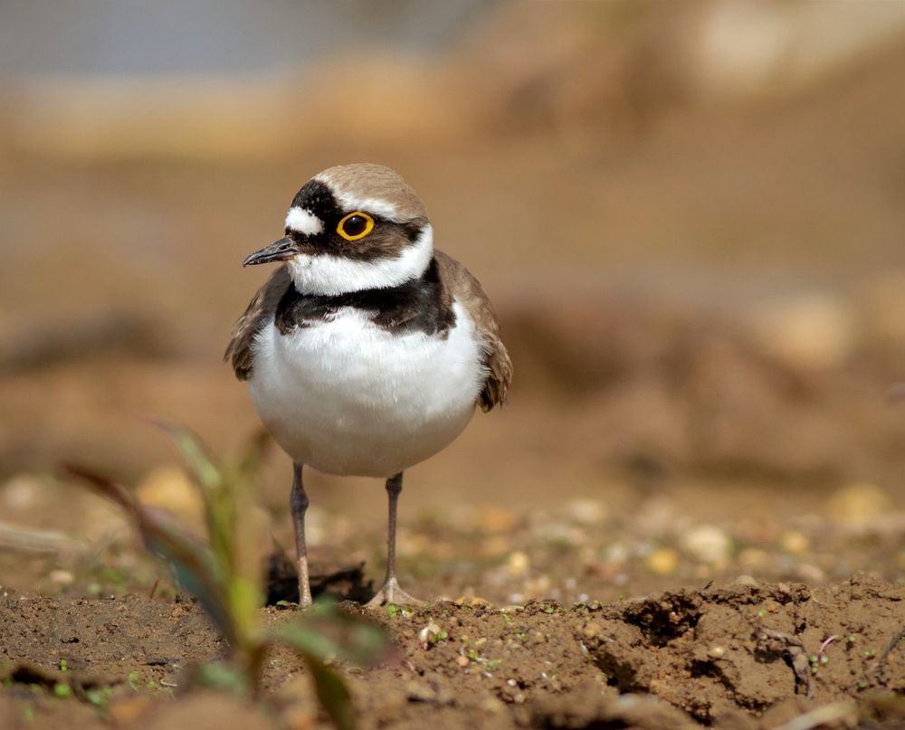 Photograph by Павел Краснослободцев