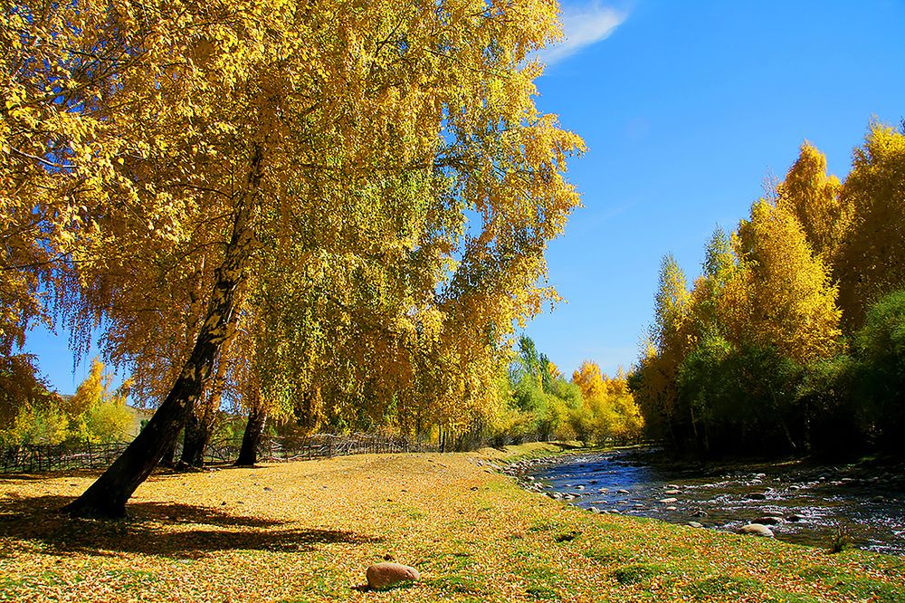 Осенний полдень