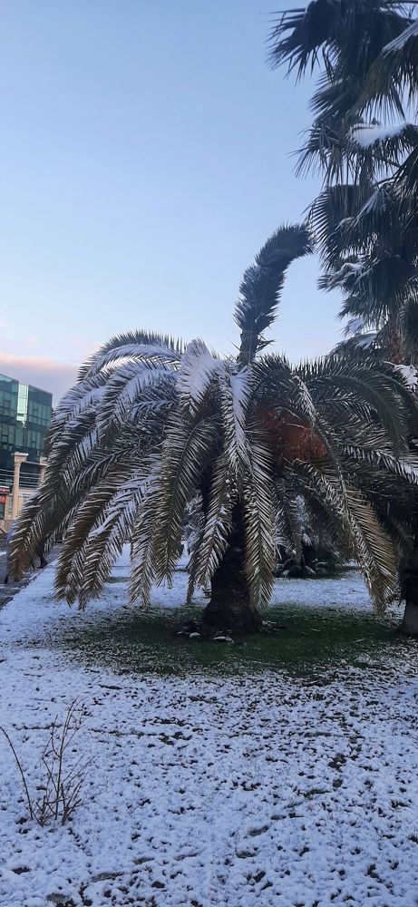 Фотография автора Анастасия