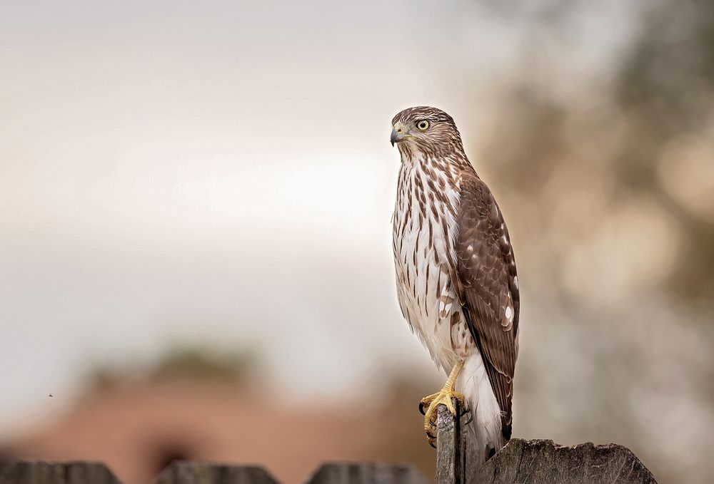 Photograph by Yelena