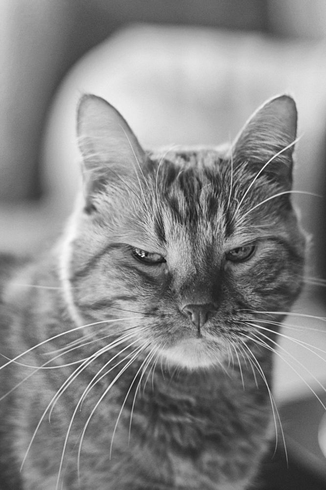 Фотография автора Oxana Yurasova