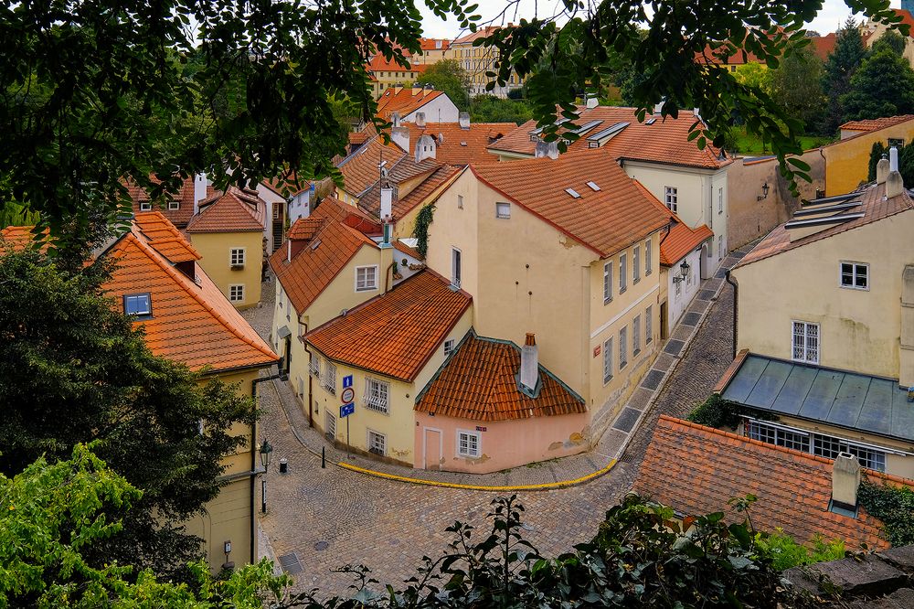 Photograph by Alexander Altgauzen