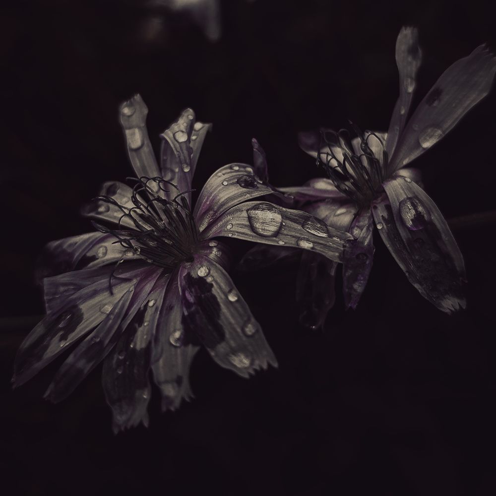 Photograph by Зара Нехай