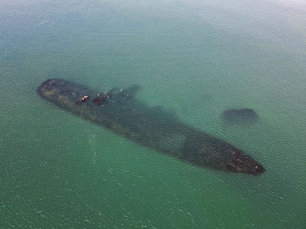 Поездка к тихому океану