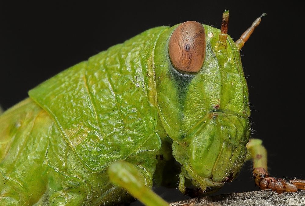 Photograph by Mark Kineth Casindac