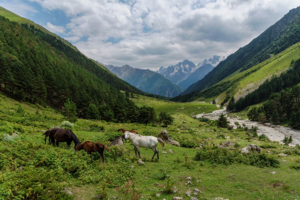 Photograph by Антон Бойков