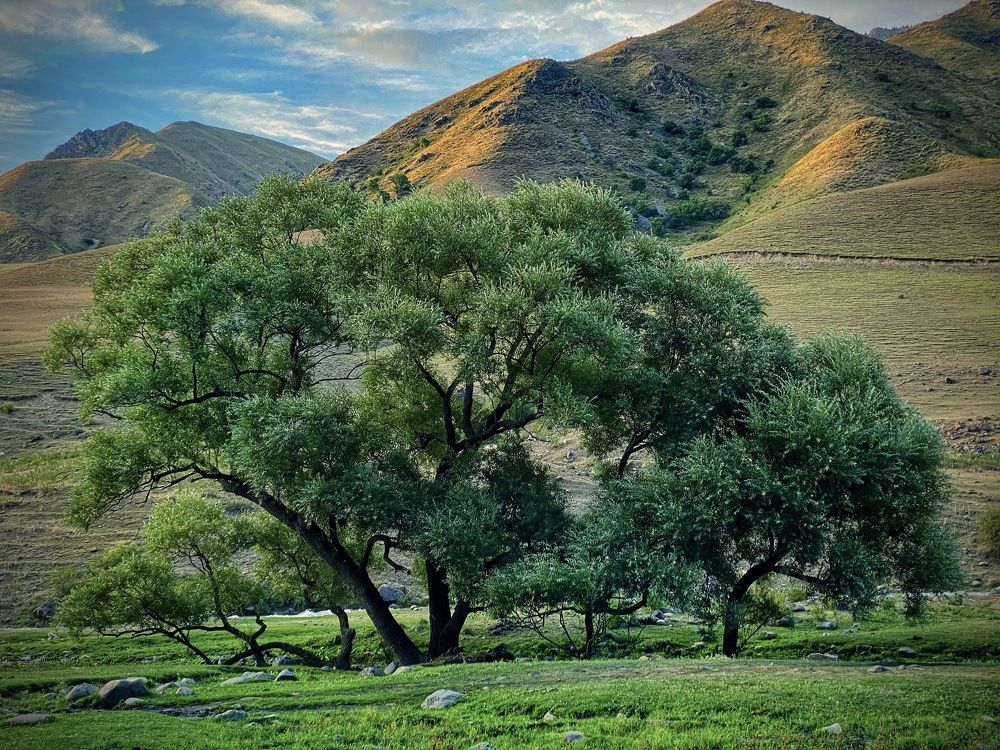 Photograph by Alena Kochergina