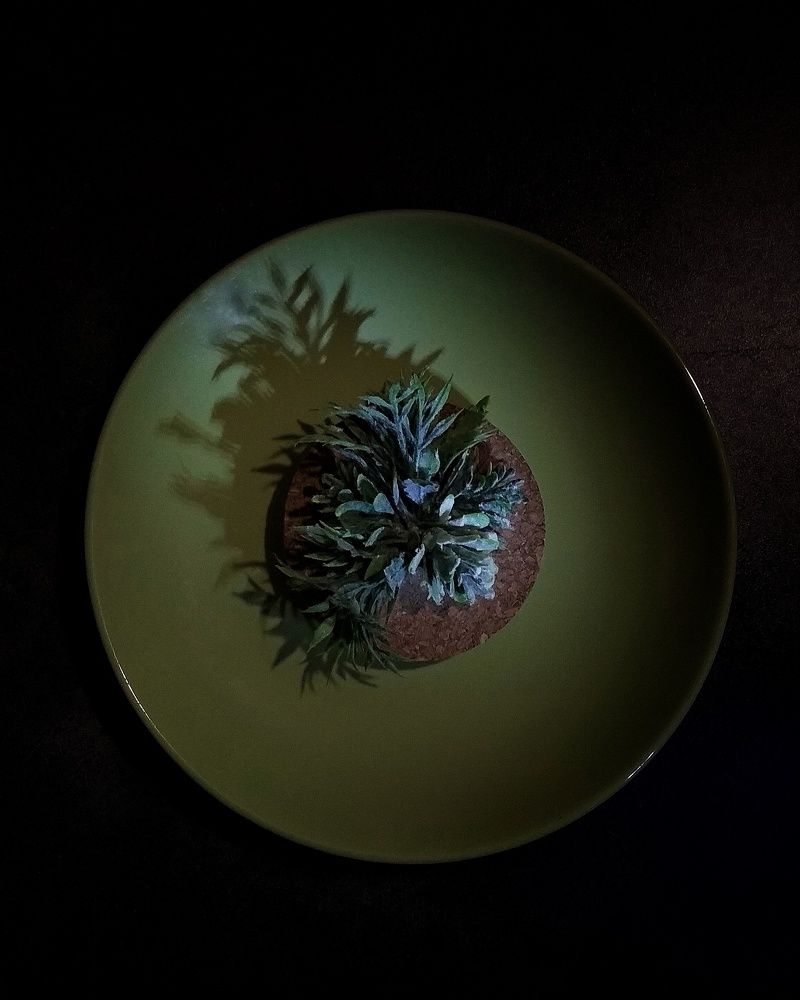 Photograph by Светлана Безъязычная