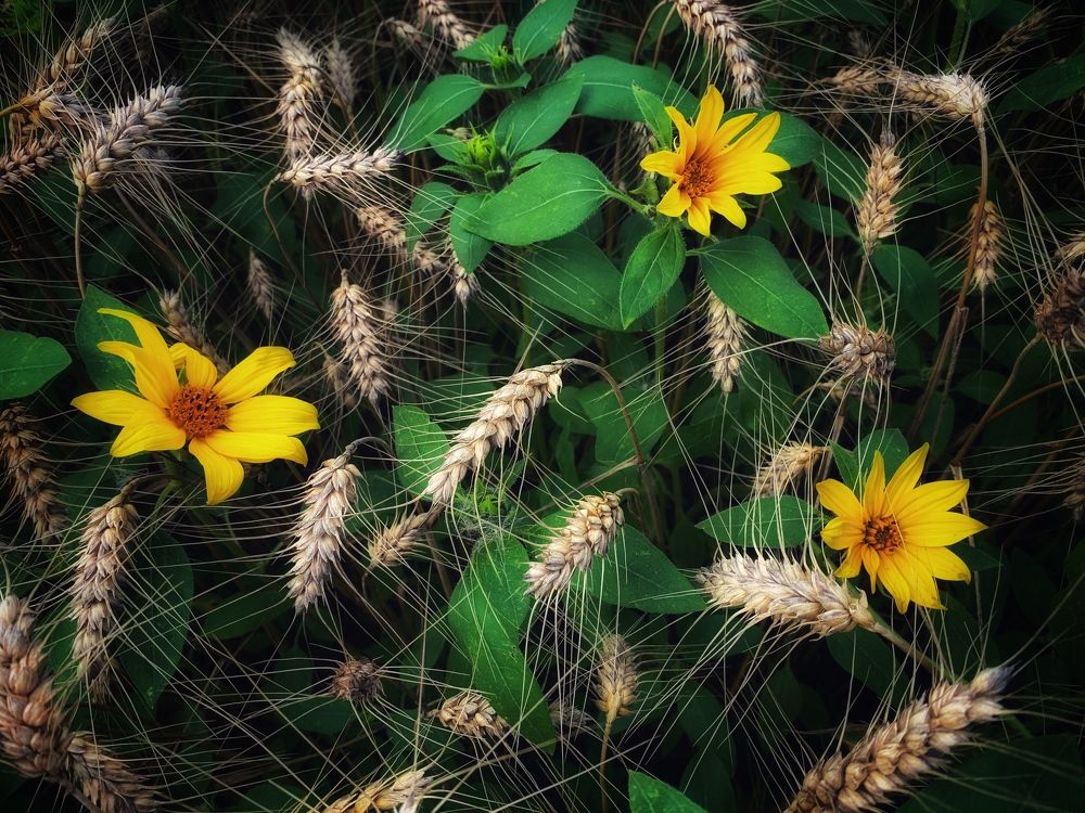 Photograph by Swetlana Lebedev