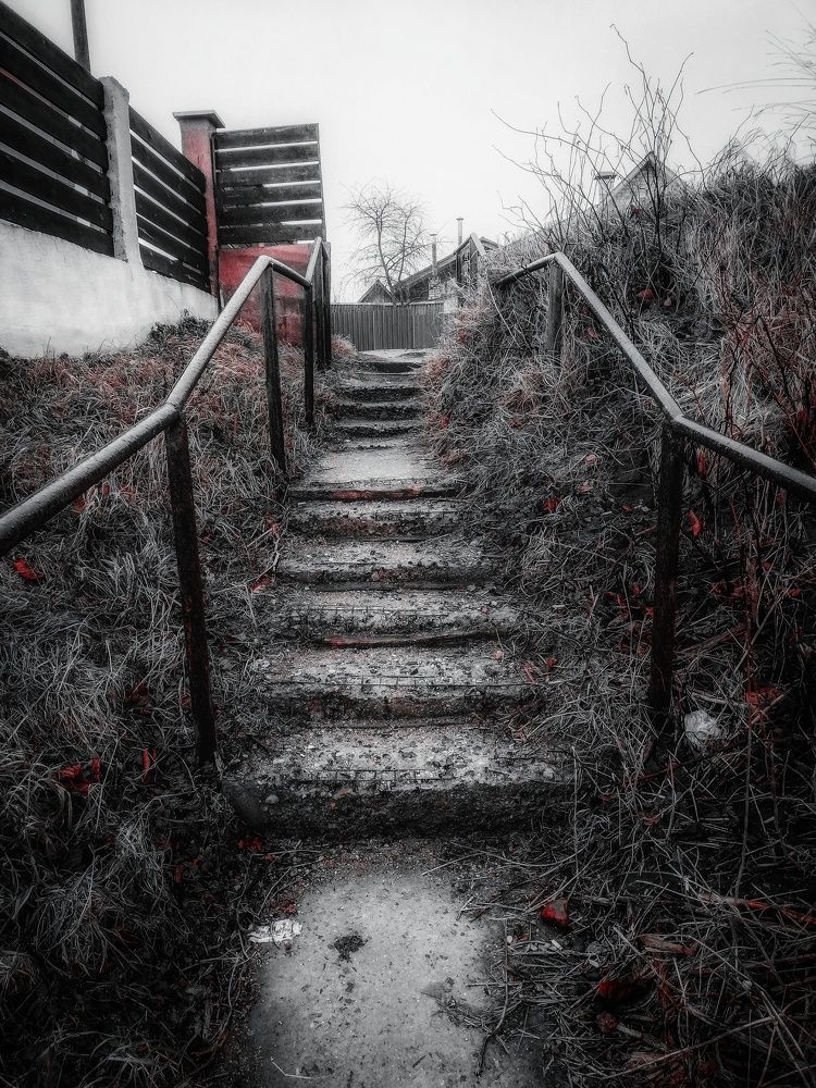 Photograph by Сергей Плюто