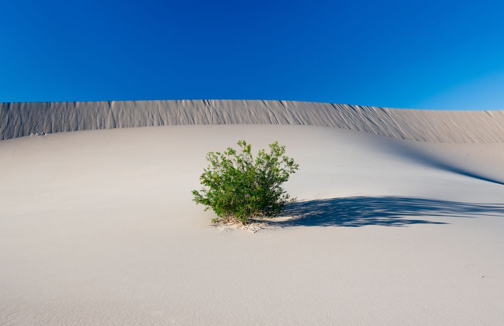 Photograph by Alexander Efimenko