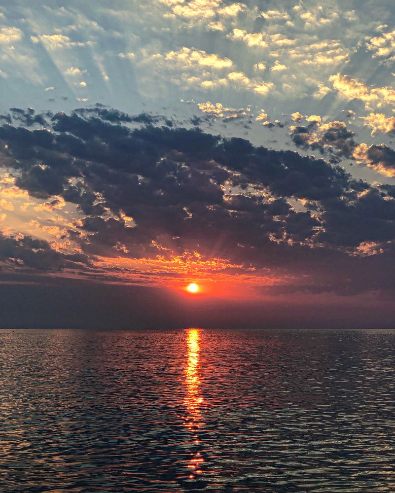 Photograph by Лариса