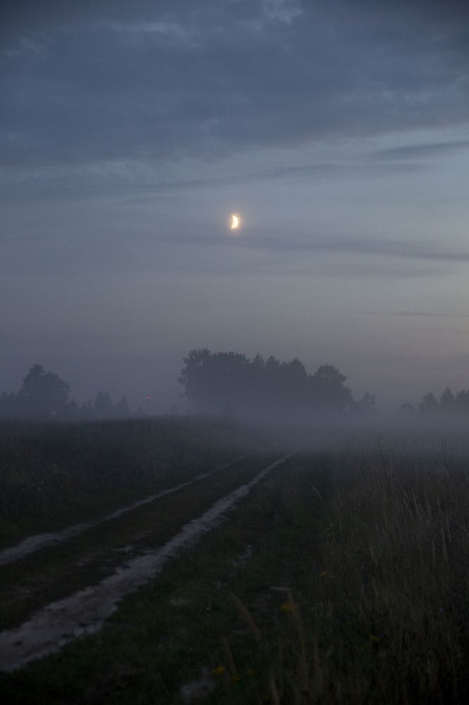 Photograph by Игорь