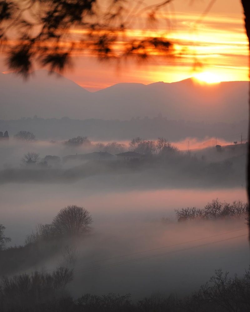 Photograph by Марина Неберекутина
