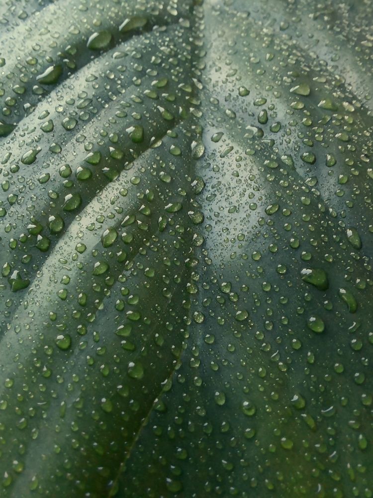 Фотография автора Olga Kunakova