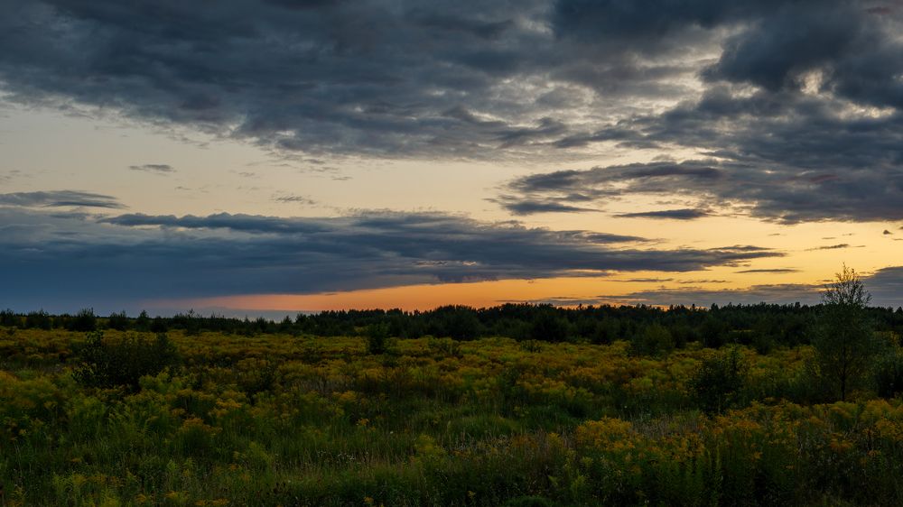 Photograph by  Максим