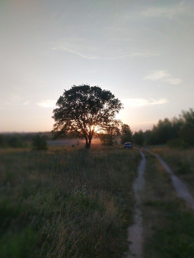 Photograph by Марина Иванникова