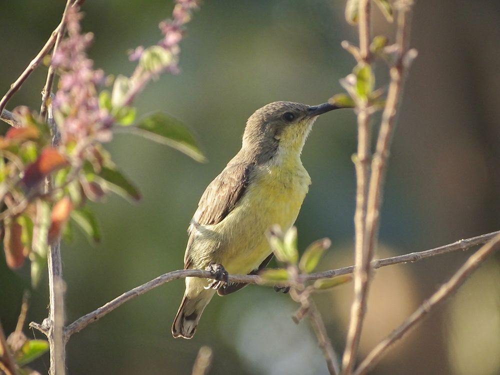 Photograph by Dhaivat Sarvaiya