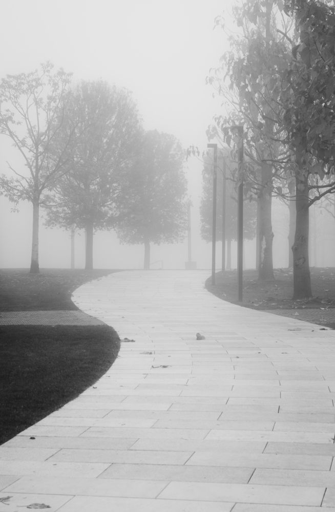 Photograph by Анастасия Кашенко