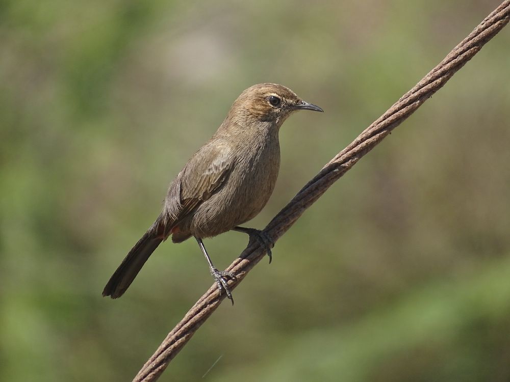 Photograph by Dhaivat Sarvaiya