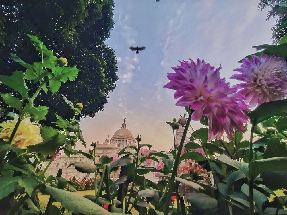 Photograph by DEBYENDU DAS