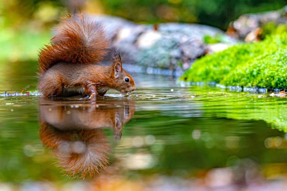 Photograph by Ellen Lichtenheldt