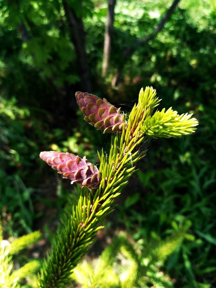 Photograph by Алия Колчина