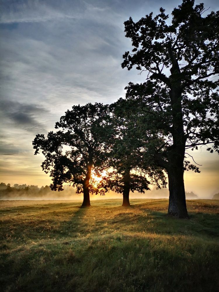 Photograph by Горбова Юлия