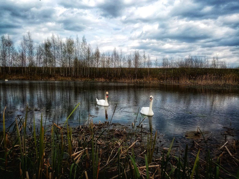 Photograph by Veronica Kravchonok