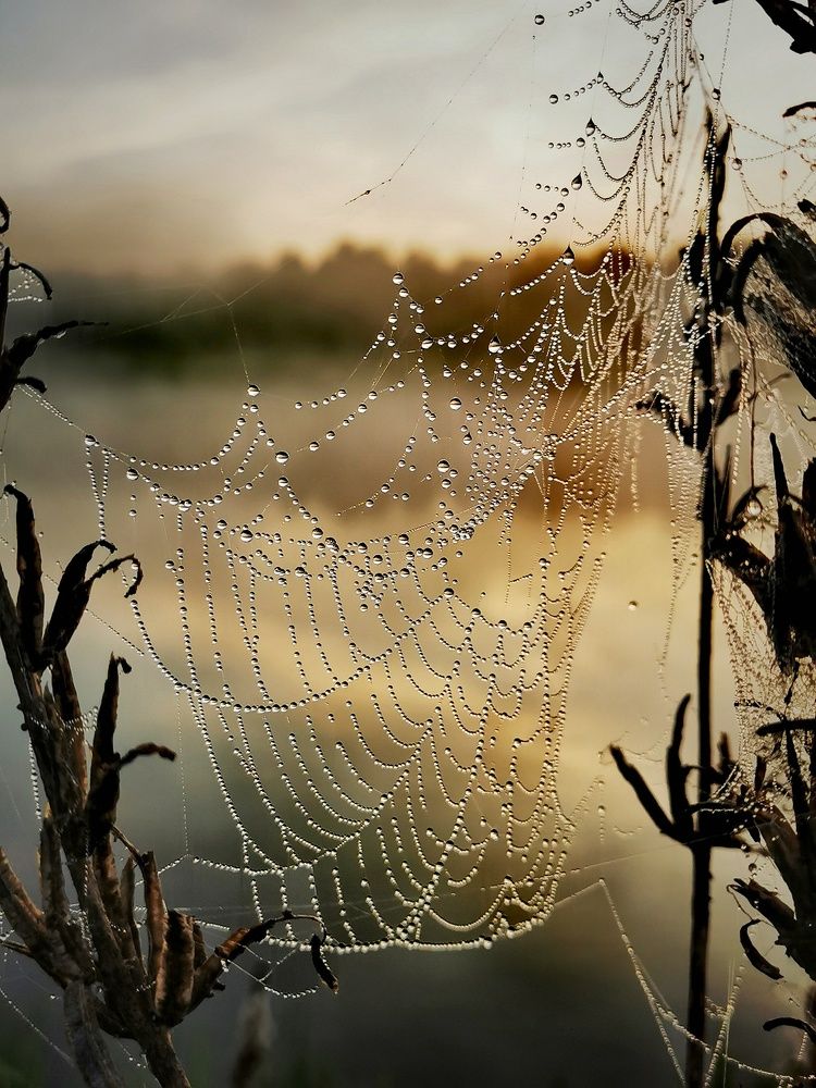 Photograph by Горбова Юлия