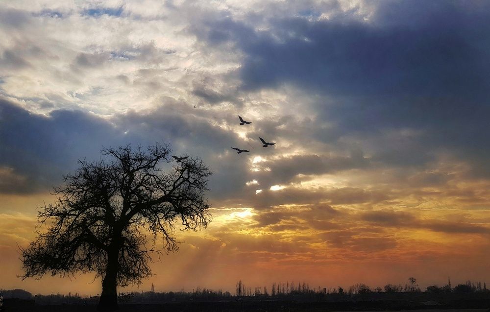 Фотография автора reyhane  khavaninzadeh