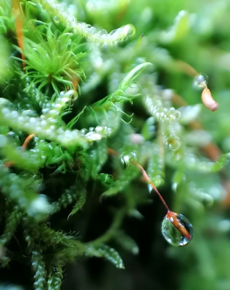 Photograph by Krystyna