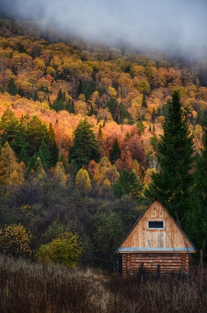 Photograph by Валерия Паринова