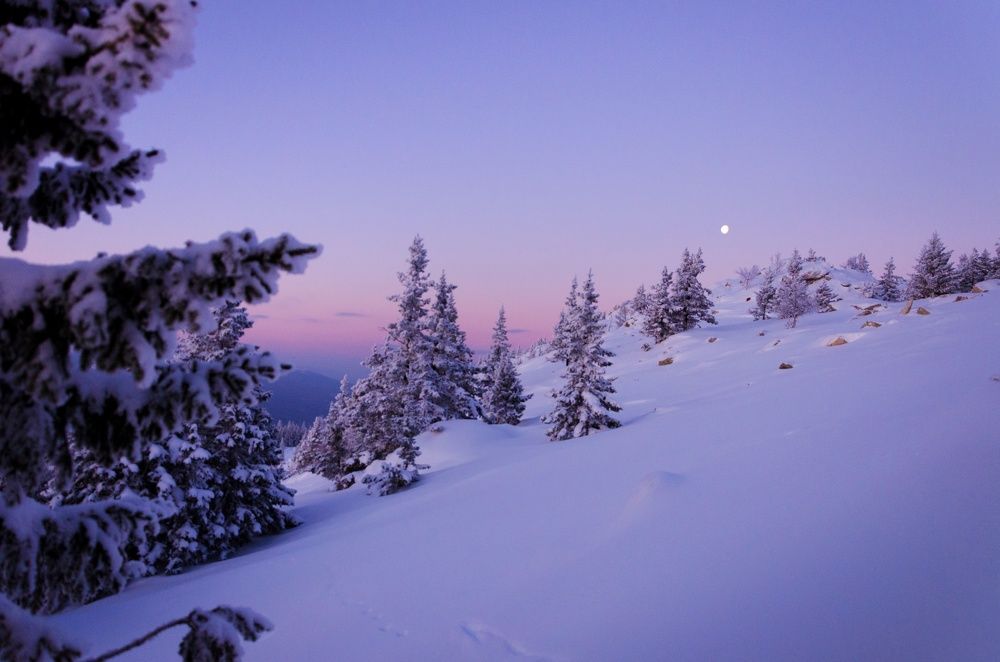 Photograph by Валерия Паринова