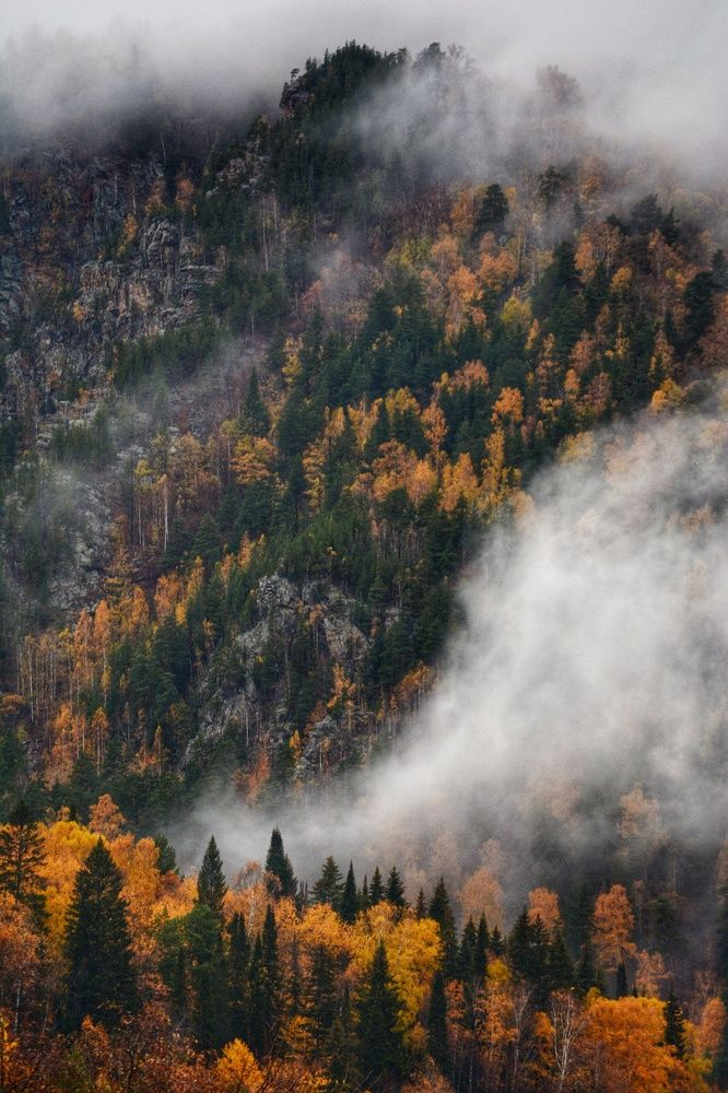 Photograph by Валерия Паринова