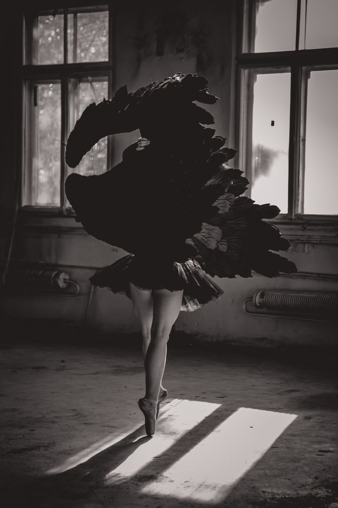 Photograph by Dzintra Zvagina