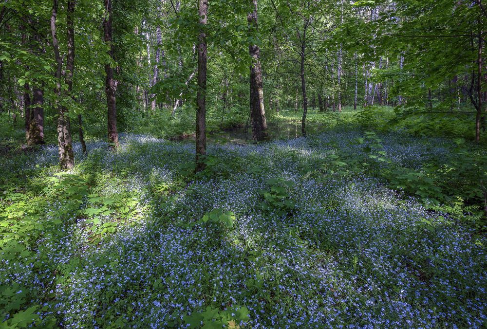 Photograph by Евгений