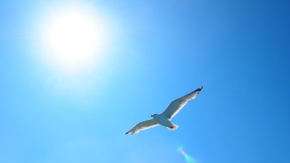 Photograph by Lia Rogers