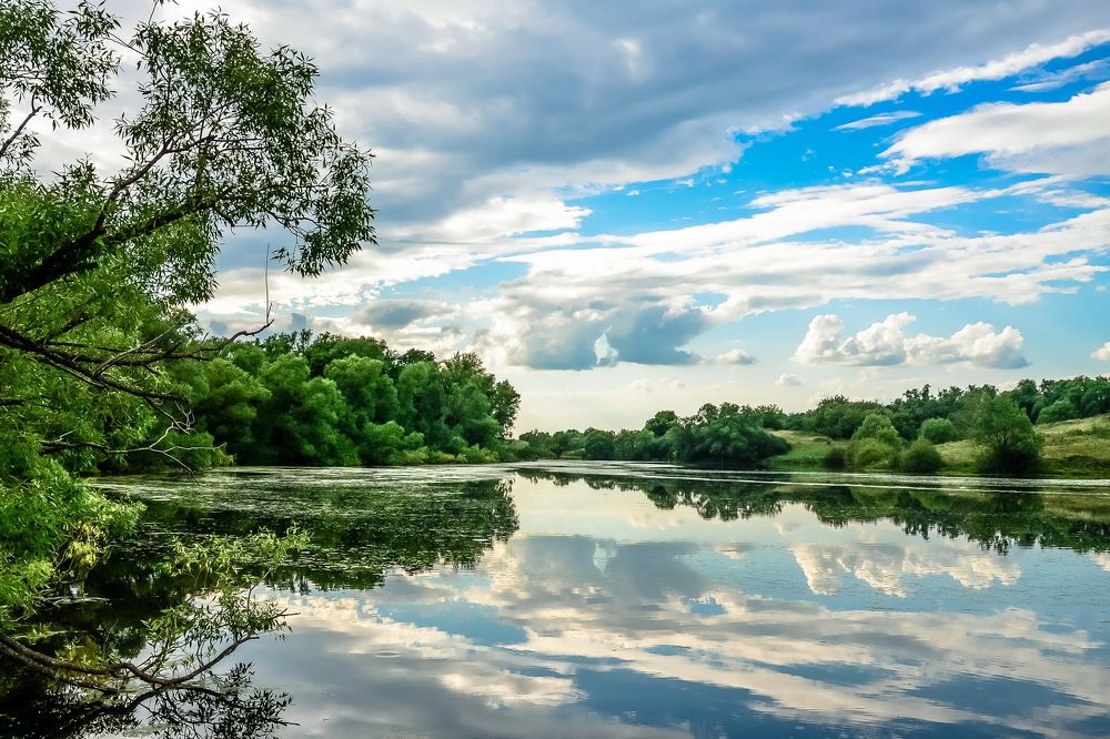 Photograph by Архипов Михаил