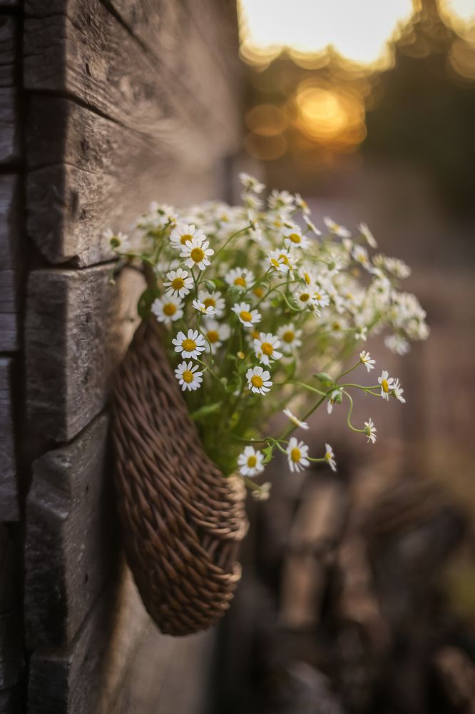 Photograph by Татьяна Кытина